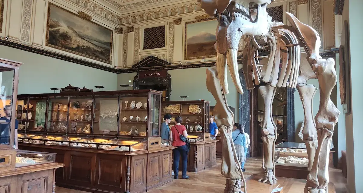 Szkielet mamuta w muzeum historii naturalnej wiedeń. W gablotach minerały i skamieniałości.