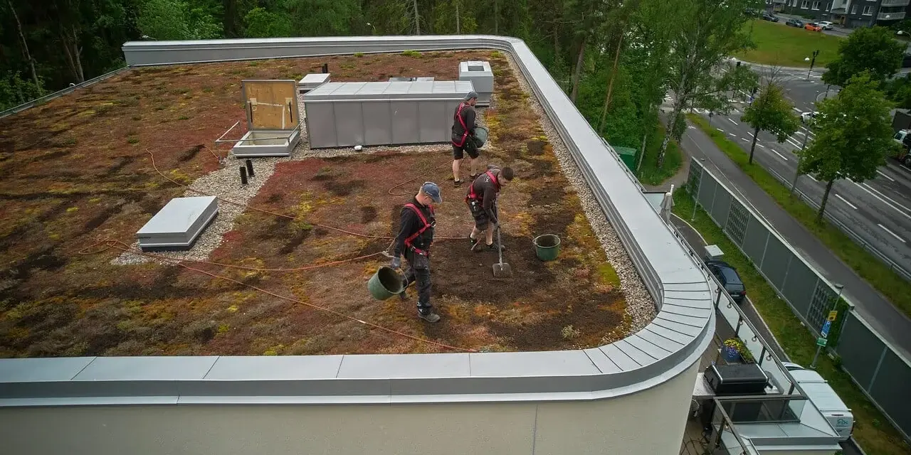 Arbetare sköter om ett sedumtak konstruktion. De planterar och vattnar, vilket bidrar till en grönare stadsmiljö.