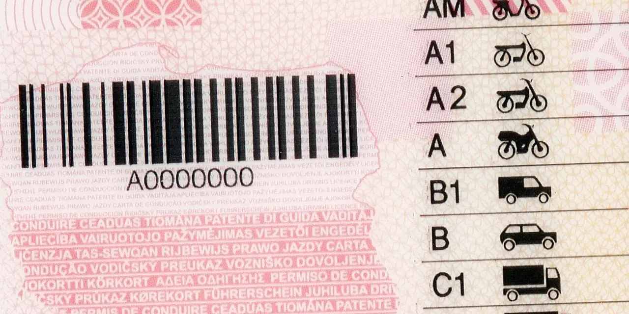 Numer prawa jazdy z kodem kreskowym i kategoriami pojazdów: AM, A1, A2, A, B1, B, C1, C.