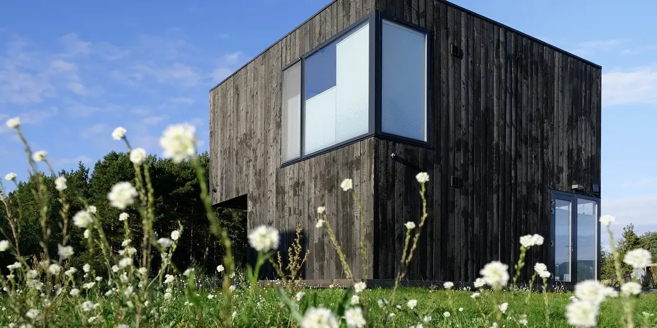 Maison moderne au bardage en bois noir, résultat d'un traitement bois brulé, entourée de fleurs blanches et d'arbres.