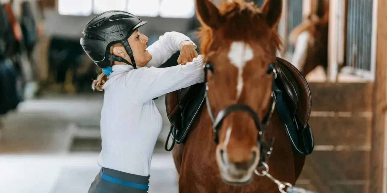 Une cavalière ajuste la selle de son cheval dans une **structure équestre**.