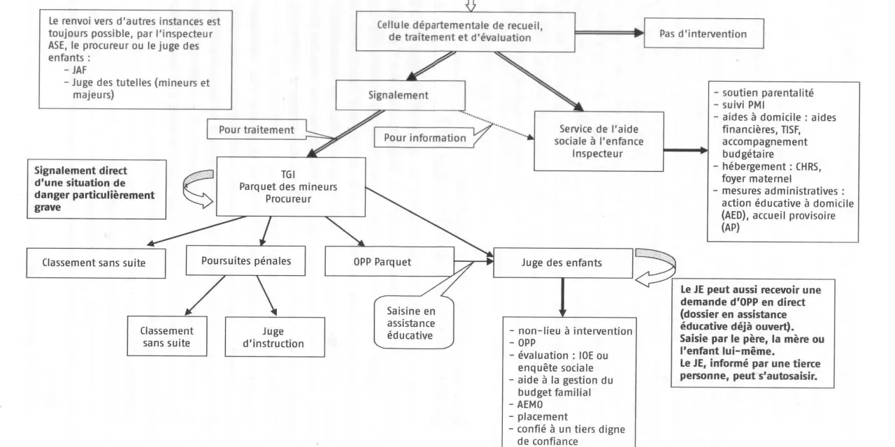 Ce schéma illustre la différence entre signalement et information préoccupante, montrant le parcours d'une information jusqu'à une action de protection.