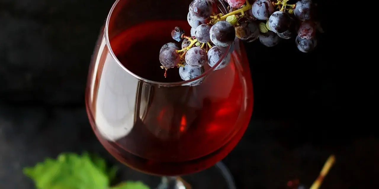 Kieliszek czerwonego wina z winogronami. Czy alkohol jest zdrowy? To pytanie, na które odpowiedź nie jest prosta.