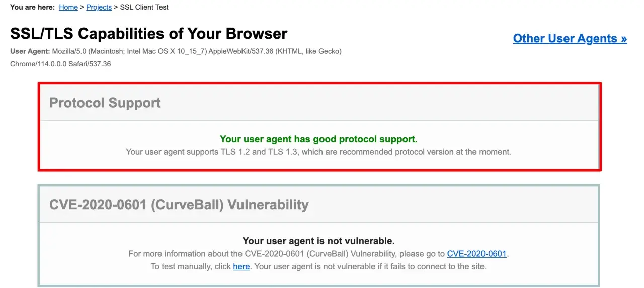 Browser test shows good protocol support, with TLS 1.2 and 1.3 enabled, and no CVE-2020-0601 vulnerability.