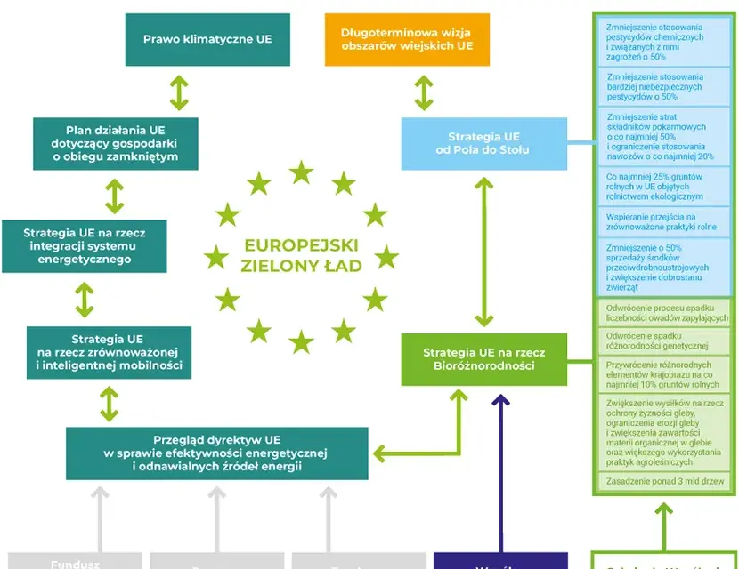Co to jest zielony ład i jak wpłynie na przyszłość Europy?