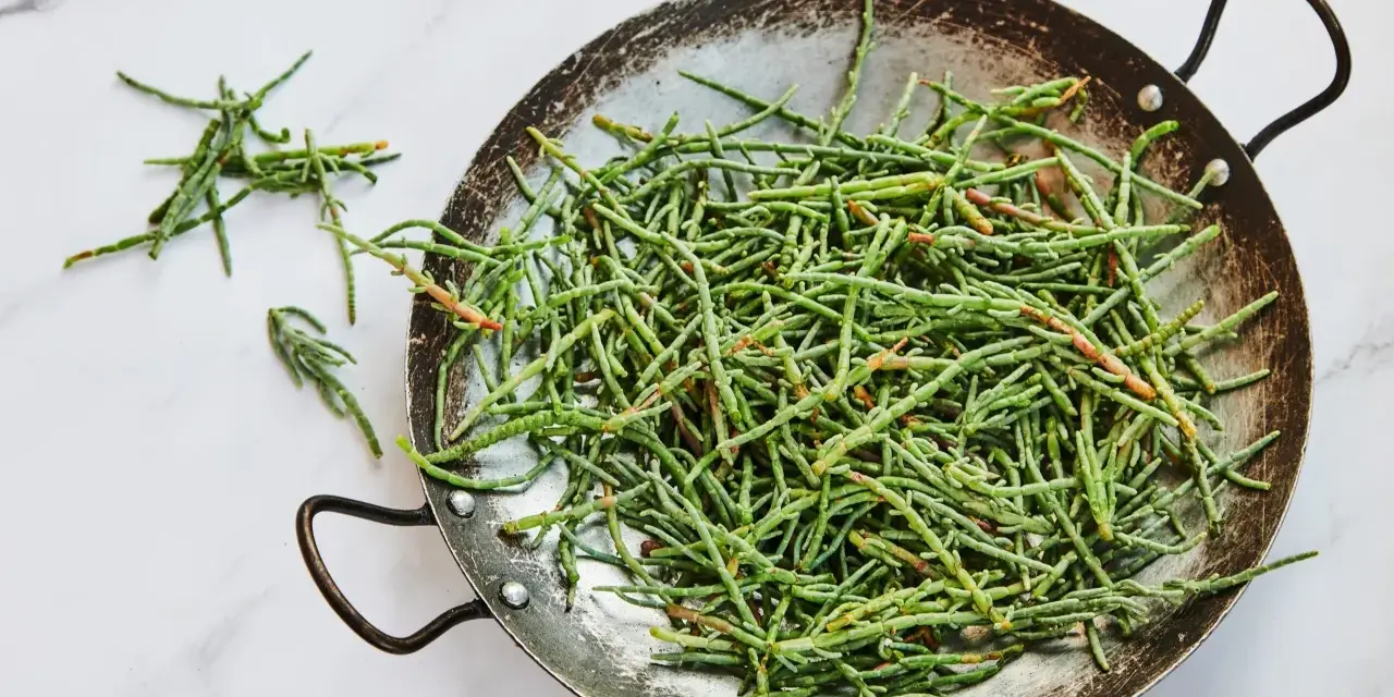 Un plat rempli de salicorne fraîche, un légume marin aux nombreux bienfaits pour la santé, prêt à être cuisiné.