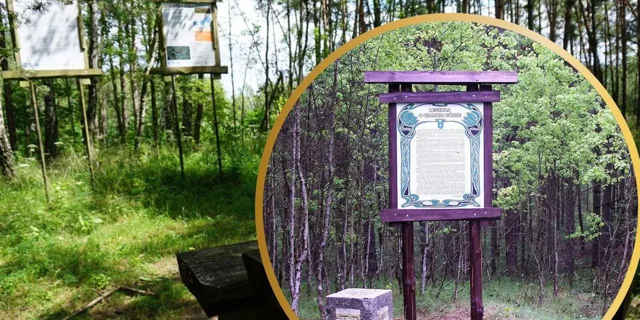 Tablica informacyjna o Czarnej Górze w Kujawsko-Pomorskiem, otoczona lasem.