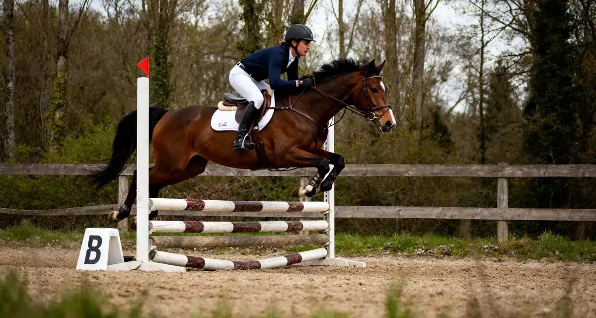 Cavalier et cheval en pleine phase du saut cheval, franchissant un obstacle en extérieur.