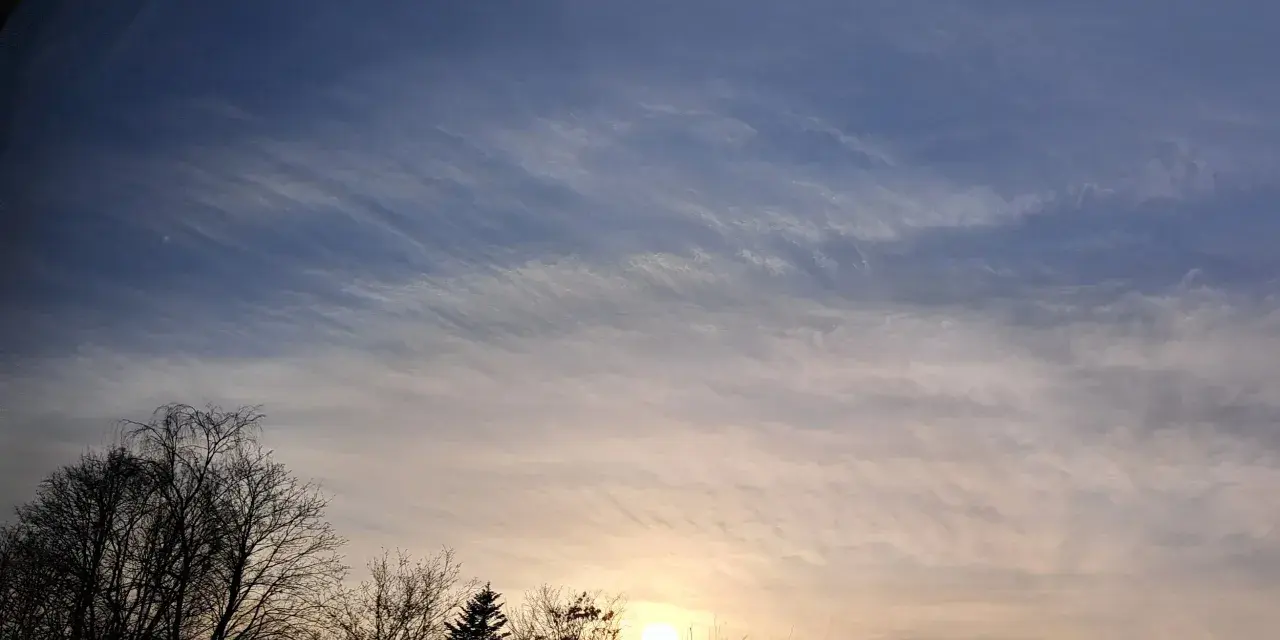 Sonnenuntergang mit zarten Wolken, die wie Pinselstriche wirken. Bäume im Vordergrund, die an Psalm 147,3 erinnern: "Er heilt, die zerbrochenen Herzens sind, und verbindet ihre Wunden.