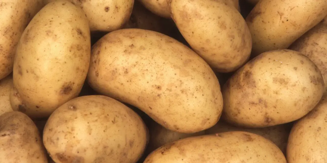 Un montón de patatas amarillas con manchas marrones. Descubre el patata valor nutricional 100g.