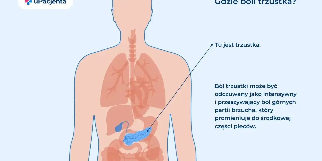 Ilustracja pokazuje lokalizację trzustki i opisuje objawy chorej wątroby i trzustki: ból brzucha promieniujący do pleców.