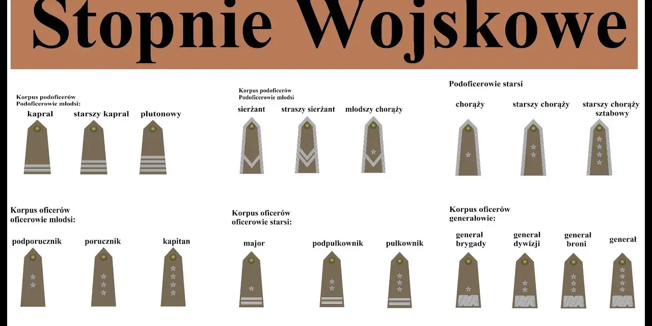 Podporucznik po studiach: Twoja ścieżka kariery oficerskiej