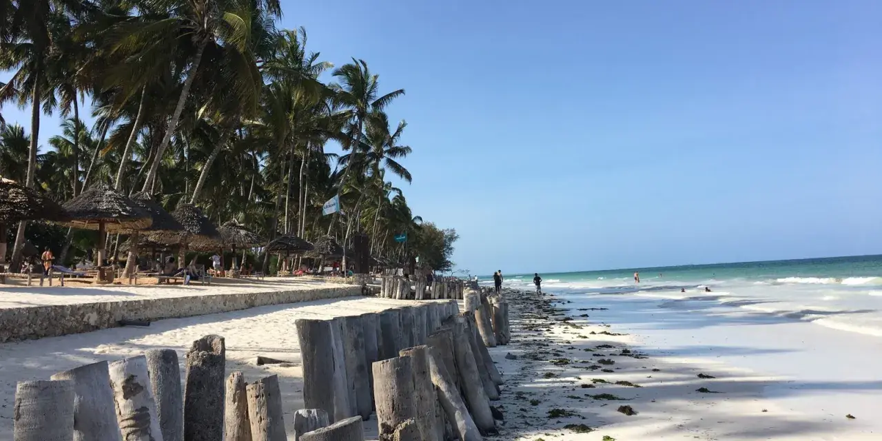 Piękna plaża na Zanzibarze, z palmami, białym piaskiem i turkusową wodą. Widać drewniane pale, które chronią brzeg przed odpływami.
