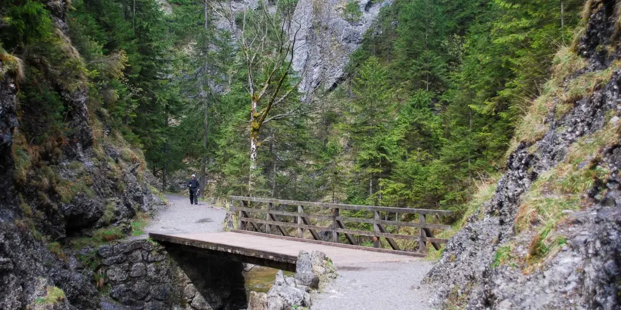 Spacer wędruje przez Dolinę Białego, mijając drewniany mostek nad strumieniem.
