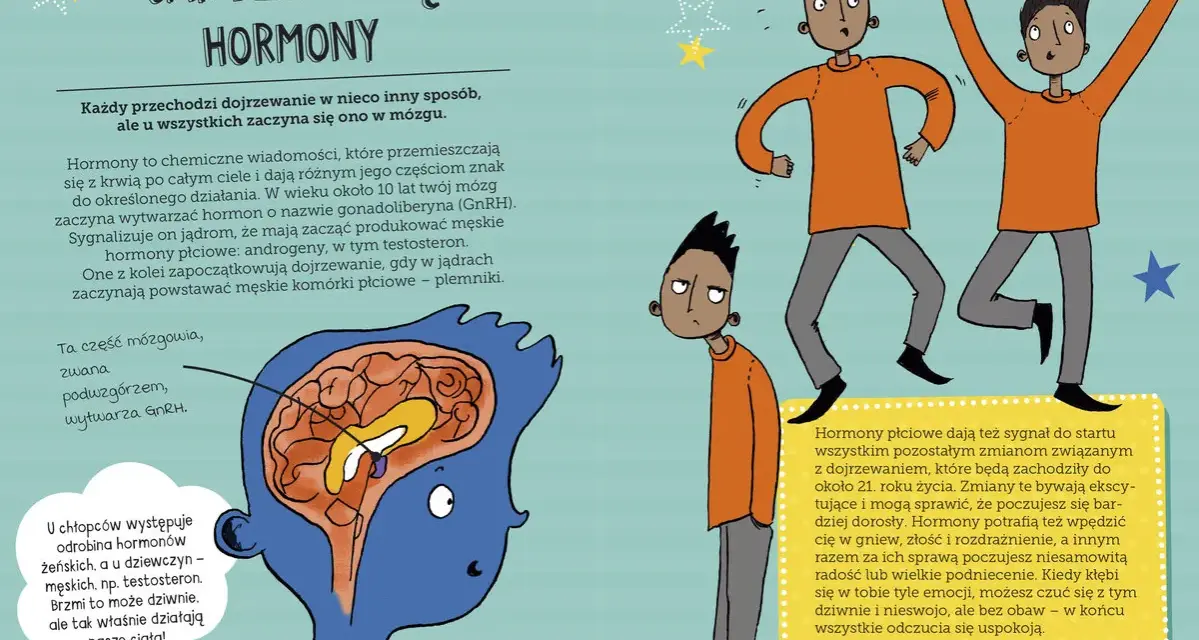 Ilustracja przedstawia etapy dojrzewania u chłopców, pokazując mózg i chłopców reagujących na hormony.