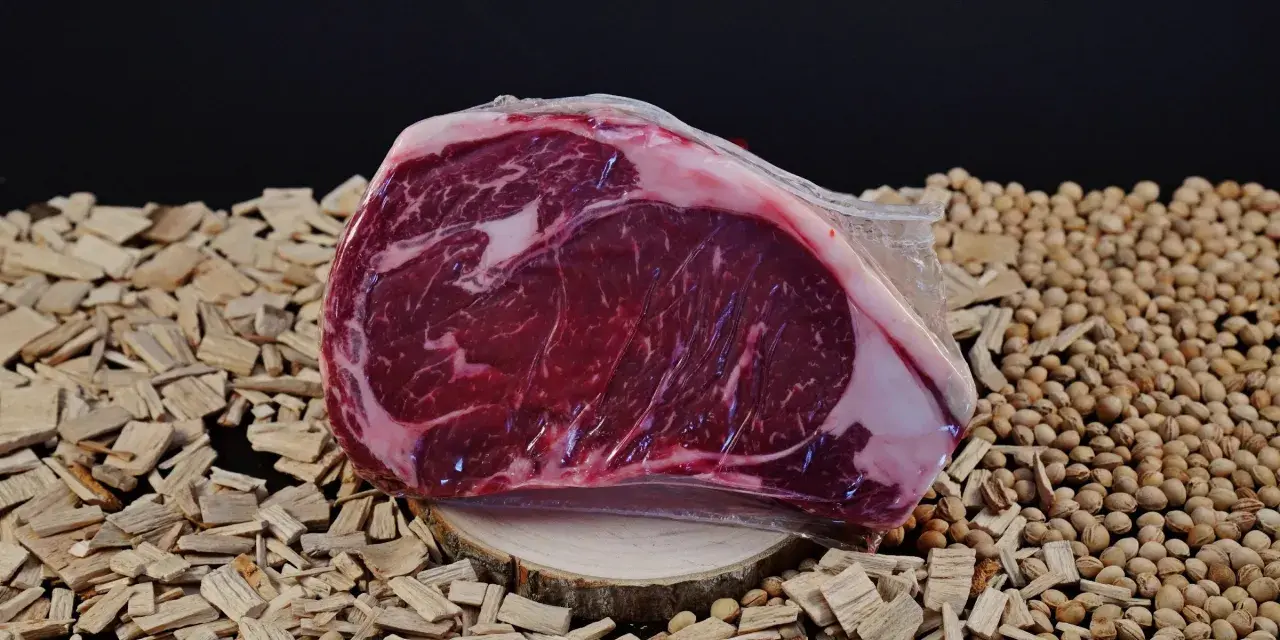 Bistecca di Chianina, un taglio pregiato, pronto per essere cucinato alla tedesca, su un letto di legnetti e noccioli.