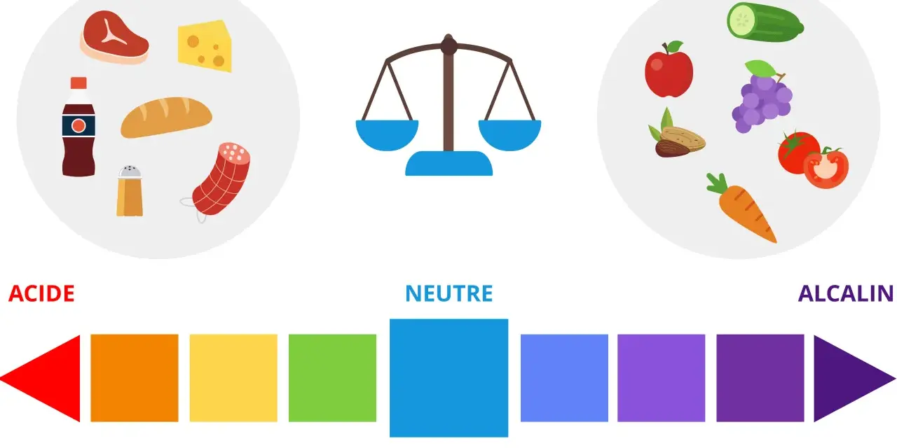 Balance alimentaire : aliments acides (viande, fromage, cola) vs alcalins (fruits, légumes). Le pH de 0 à 14.