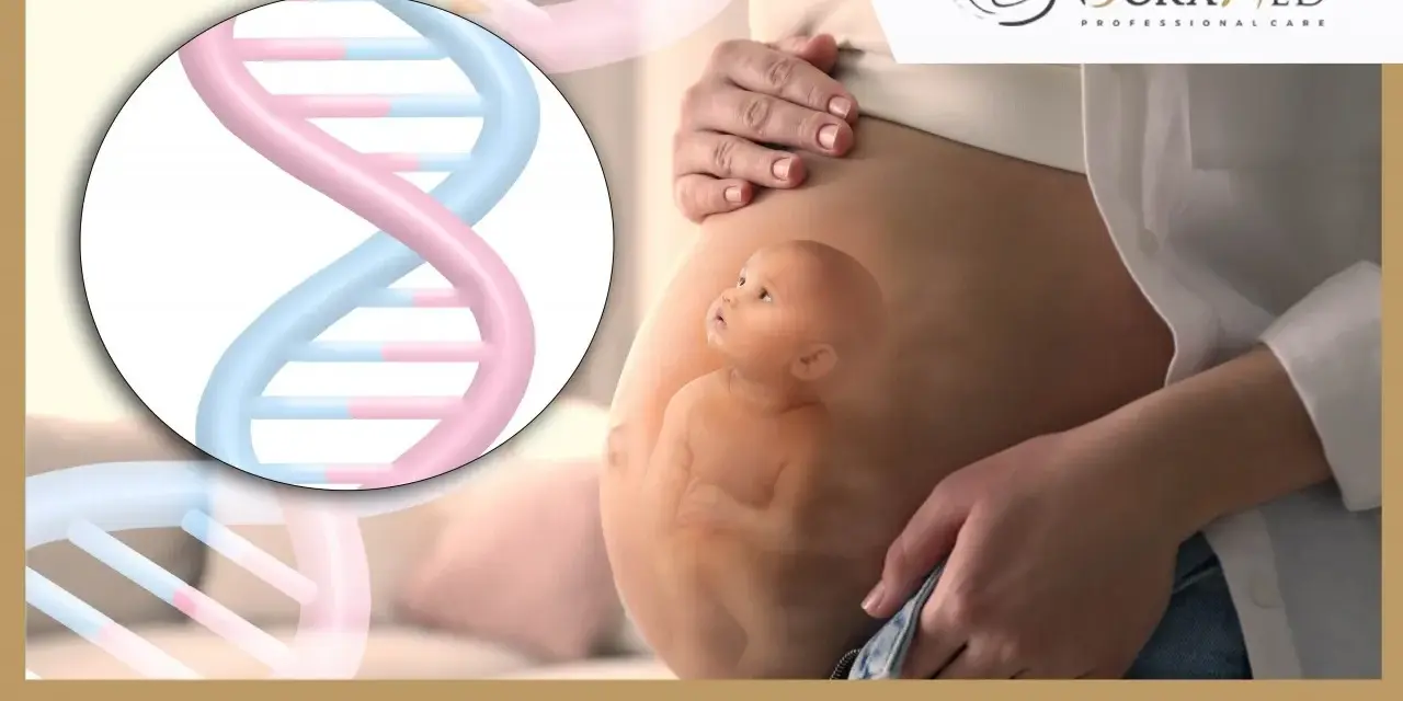 Wizualizacja rozwoju dziecka w 19 tygodniu ciąży, z symbolem DNA.