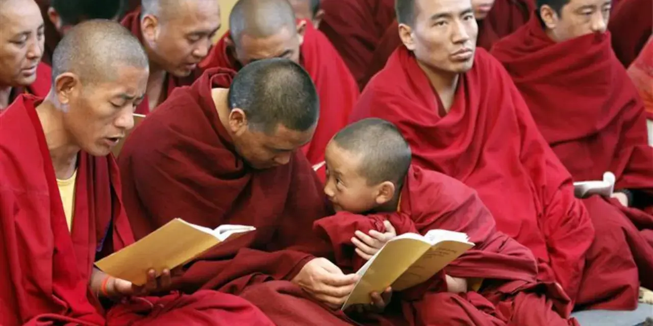 Monks in red robes study texts. Their peaceful lives, dedicated to learning, make one wonder how long do monks live.