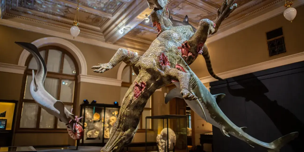 Muzeum sztuki Praga: Odkryj najważniejsze miejsca i wystawy
