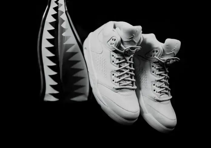 Air Jordan 5 Retro Premium Pure Platinum - Ceny i dostępność w 2023