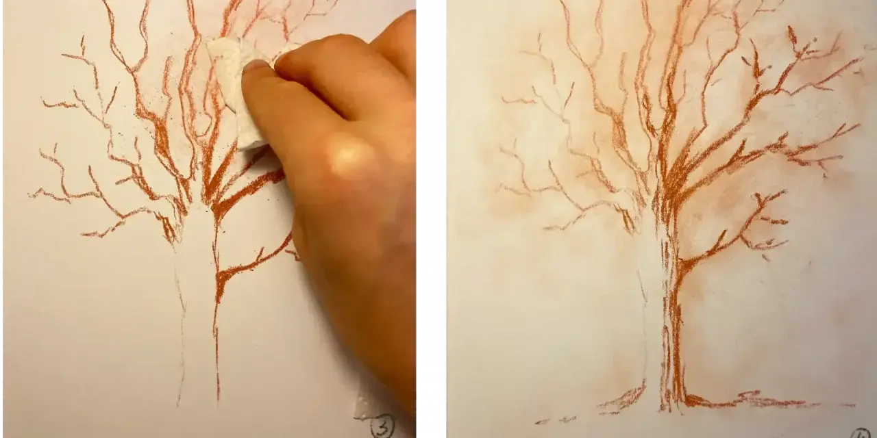 Un dessin sanguine d'un arbre aux branches fines, une main estompe le trait.