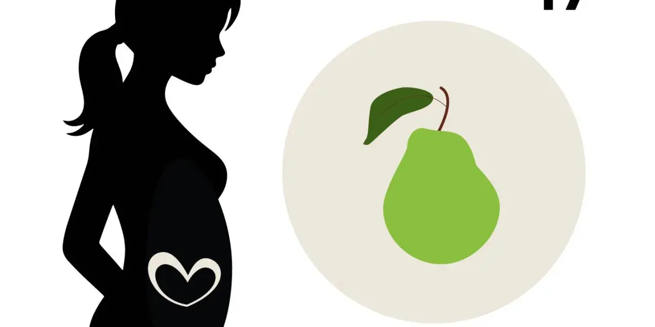 Silhouetten einer schwangeren Frau, die ihr Babybauch zeigt. Daneben eine Birne, die die Größe des Babys in der 17. SSW symbolisiert.