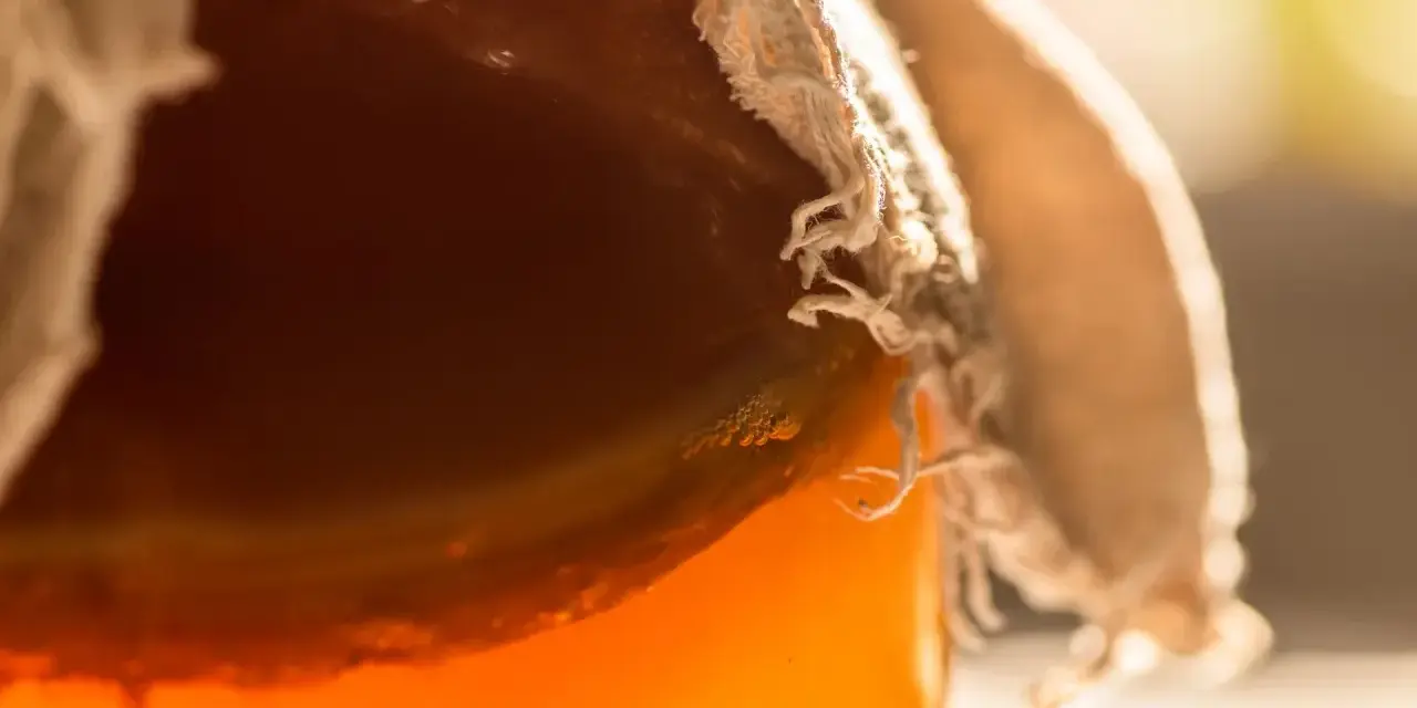 Gros plan sur un bocal couvert de tissu, révélant un liquide ambré pétillant, signe de la transformation du sucre fermenté.