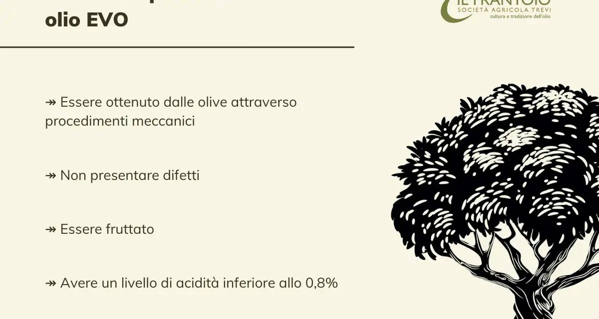 Parametri per olio EVO: ottenuto meccanicamente, senza difetti, fruttato, acidità <0,8%. Il Frantoio Trevi.