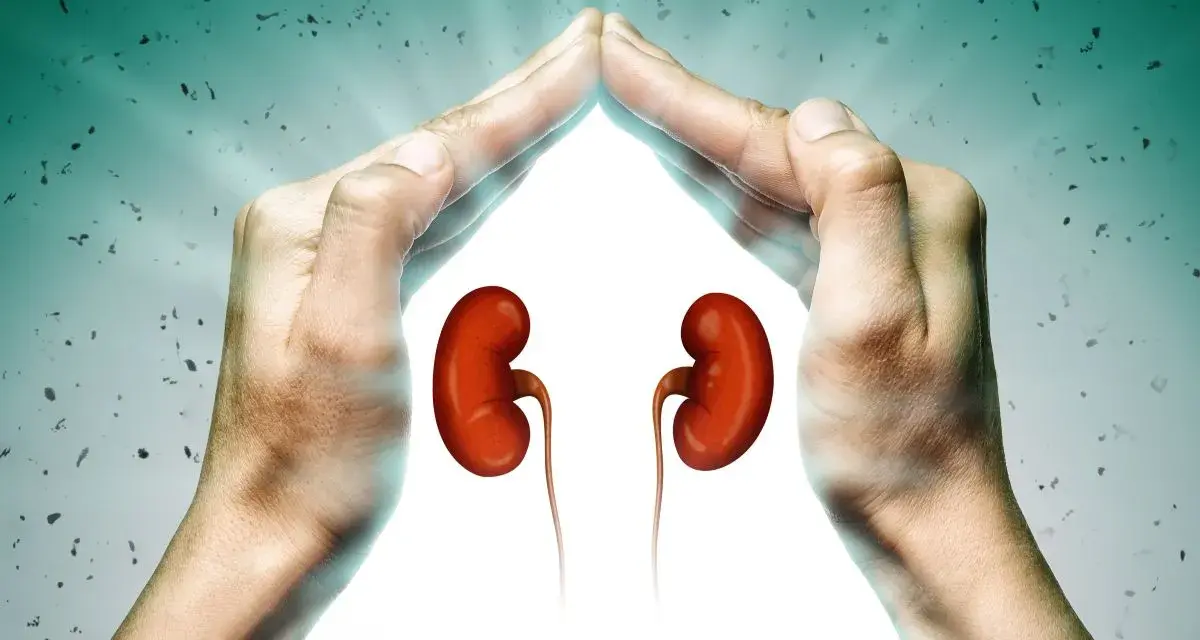 Hände schützen Nieren. Ein guter GFR-Wert mit 70 Jahren ist wichtig für die Gesundheit.