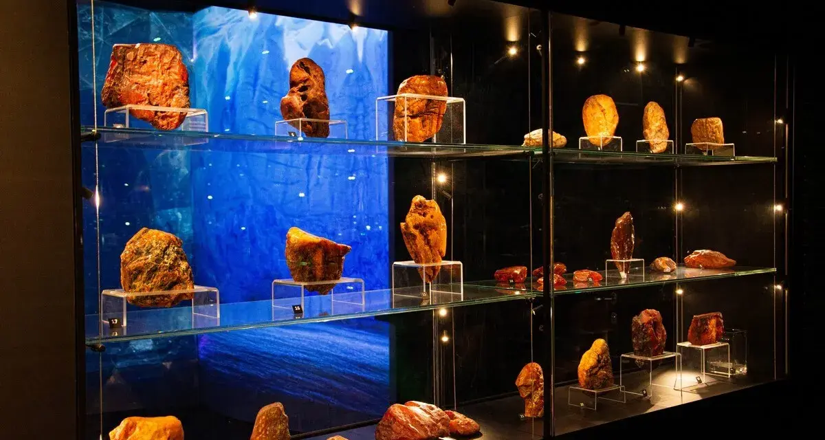 W gdańskim muzeum bursztynu można podziwiać kolekcję bursztynów, od surowych brył po przetworzone formy, prezentowane na szklanych półkach.
