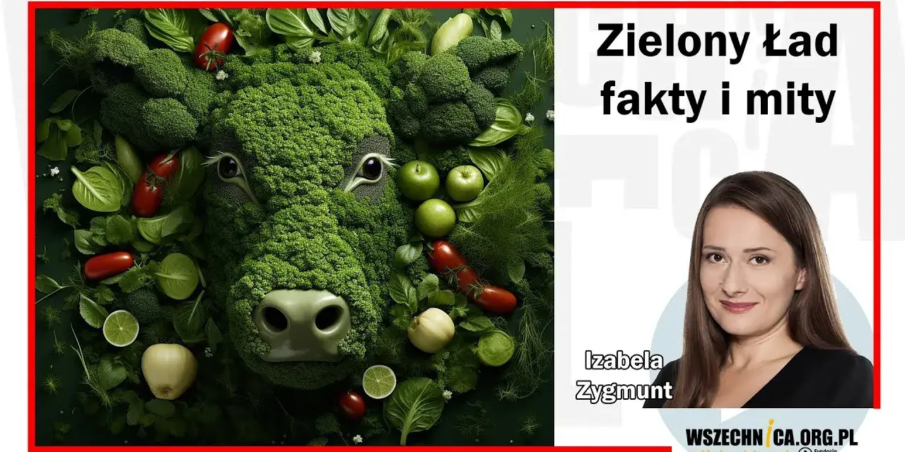 Kto zatwierdził zielony ład? Kluczowe decyzje i kontrowersje w Polsce