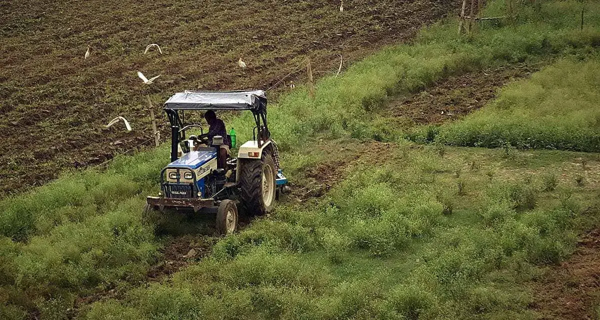 Traktor z kultywatorem pracuje na polu, spulchniając ziemię. Ptaki krążą nad pracującym rolnikiem.