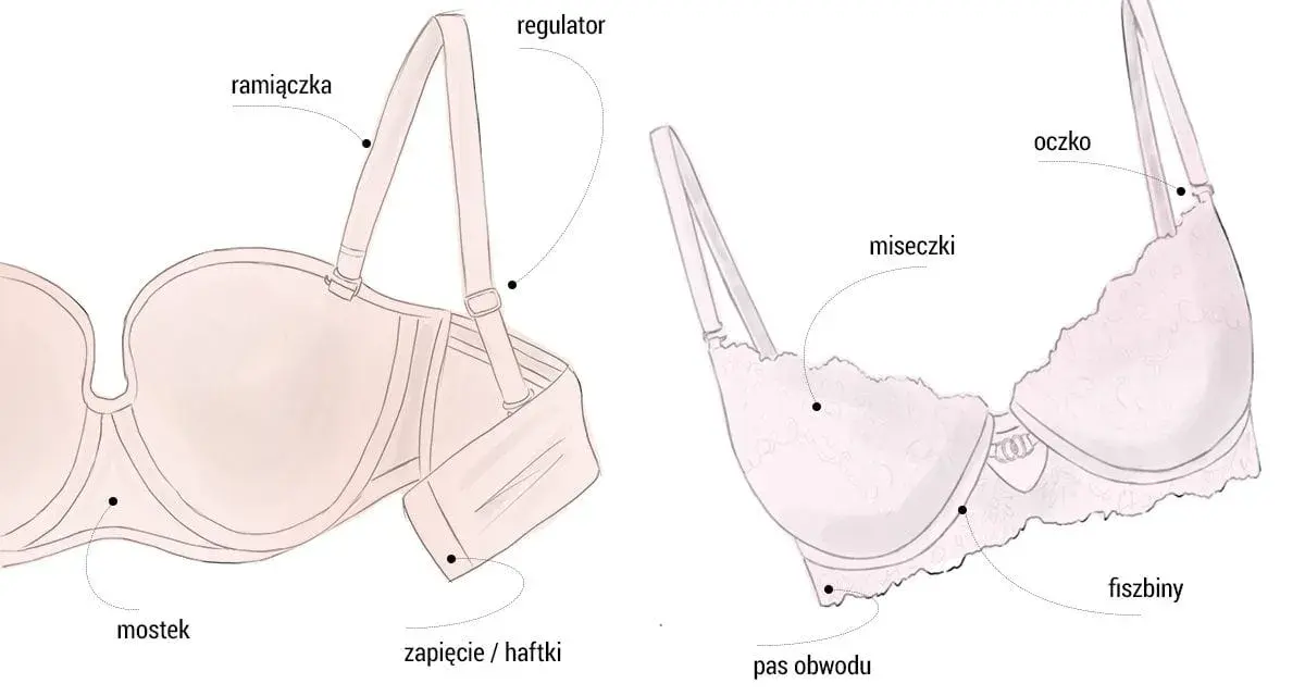 Miseczka F jaki to rozmiar? Zrozum różnice i dobierz idealnie