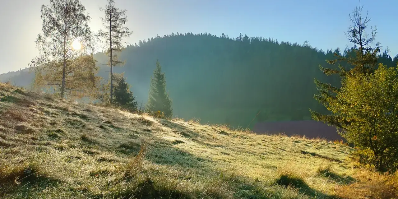 Stare Wierchy: Szlaki, widoki, schronisko zaplanuj idealną wycieczkę