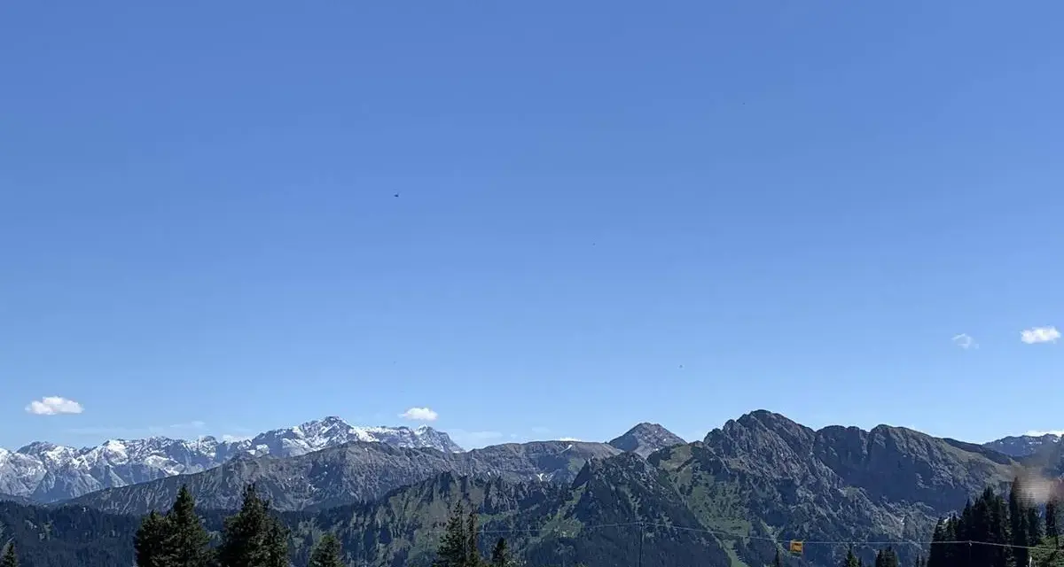Grüne Wiesen und Wälder vor einer beeindruckenden Bergkulisse mit schneebedeckten Gipfeln. Ein herrlicher Blick von der **hohen Bleick**.
