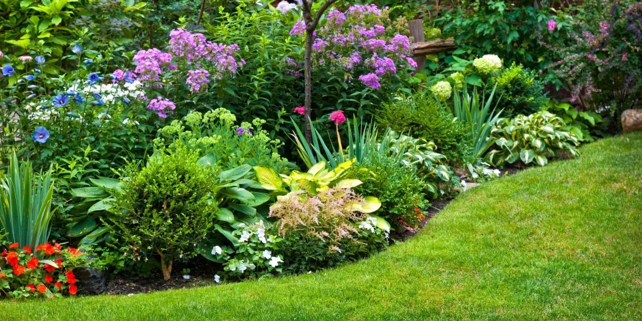 Jardín exuberante con variedad de plantas que aguantan el sol, flores moradas, azules y rojas, césped verde y arbustos bien cuidados.