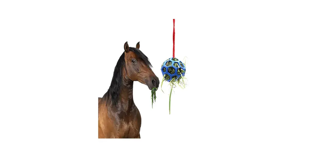Un cheval mange de l'herbe d'une balle suspendue, un concept pour fabriquer un distributeur automatique de nourriture pour chevaux.