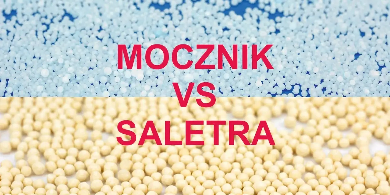 Co lepsze saletra czy saletrzak - porównanie skuteczności nawozów