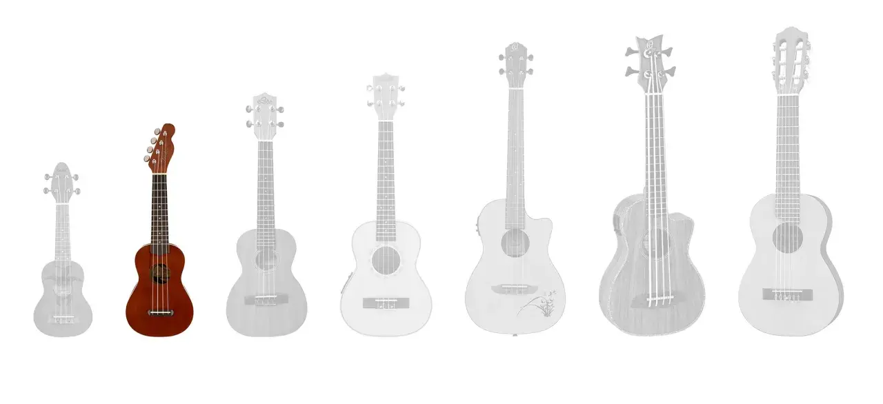 Verschiedene ukulele arten, von klein bis groß, mit einer braunen Ukulele im Vordergrund.