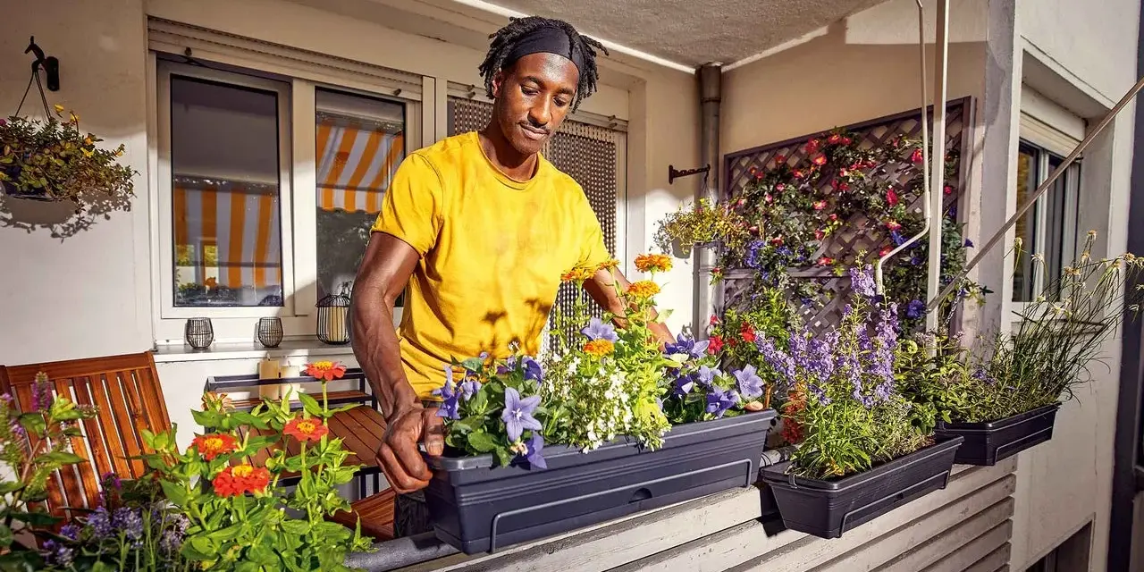 Mann bepflanzt einen Balkonkasten mit bunten Blumen. Der Mann in gelbem T-Shirt arrangiert die Pflanzen für ein schönes Ergebnis.