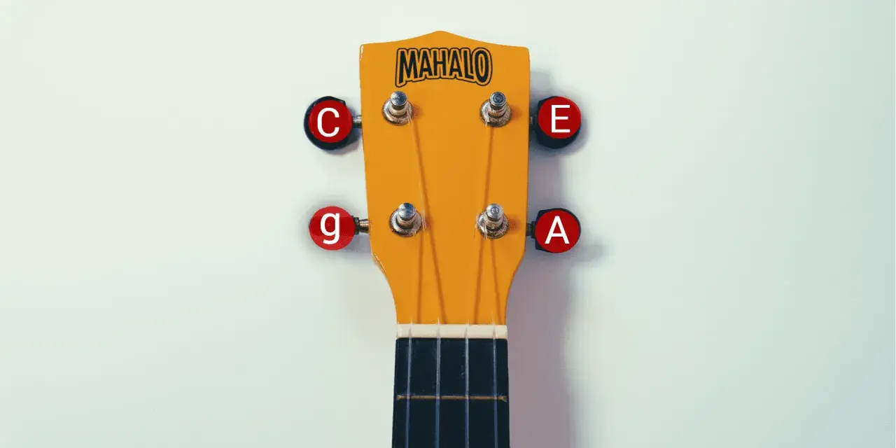 Mahalo Ukulele Kopfplatte mit Saiten C, E, G, A. Die unterschiedlichen ukulele saiten dicke sind für verschiedene Töne verantwortlich.