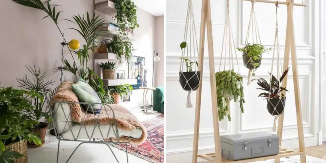 Un coin plantes salon bohème avec un fauteuil confortable et des étagères remplies de verdure. À droite, un portant en bois suspend des plantes en macramé.