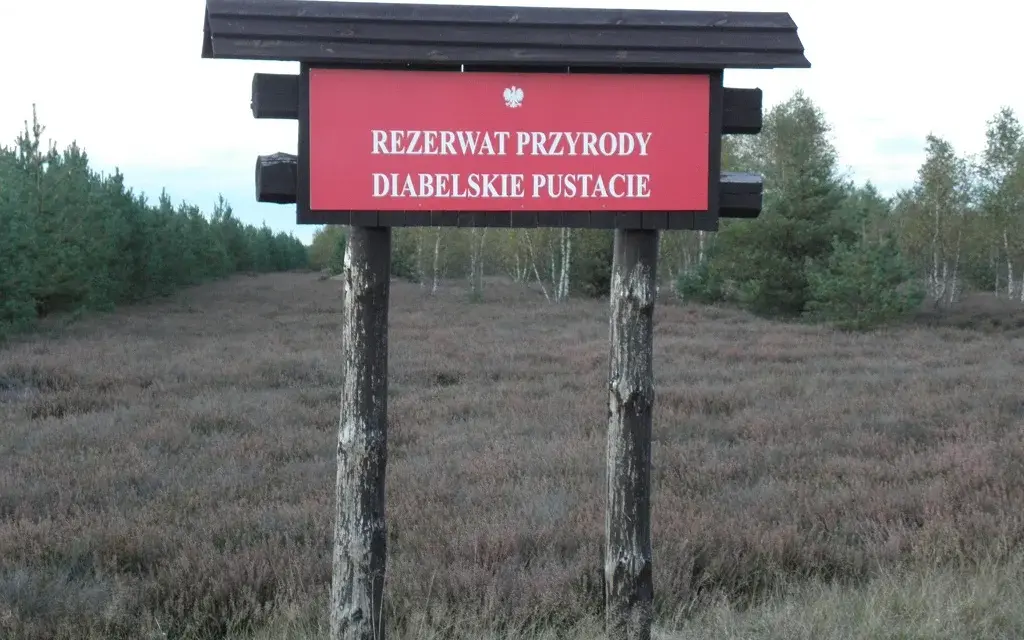 Rezerwat przyrody Diabelskie Pustacie - piękno wrzosowisk i szlaków