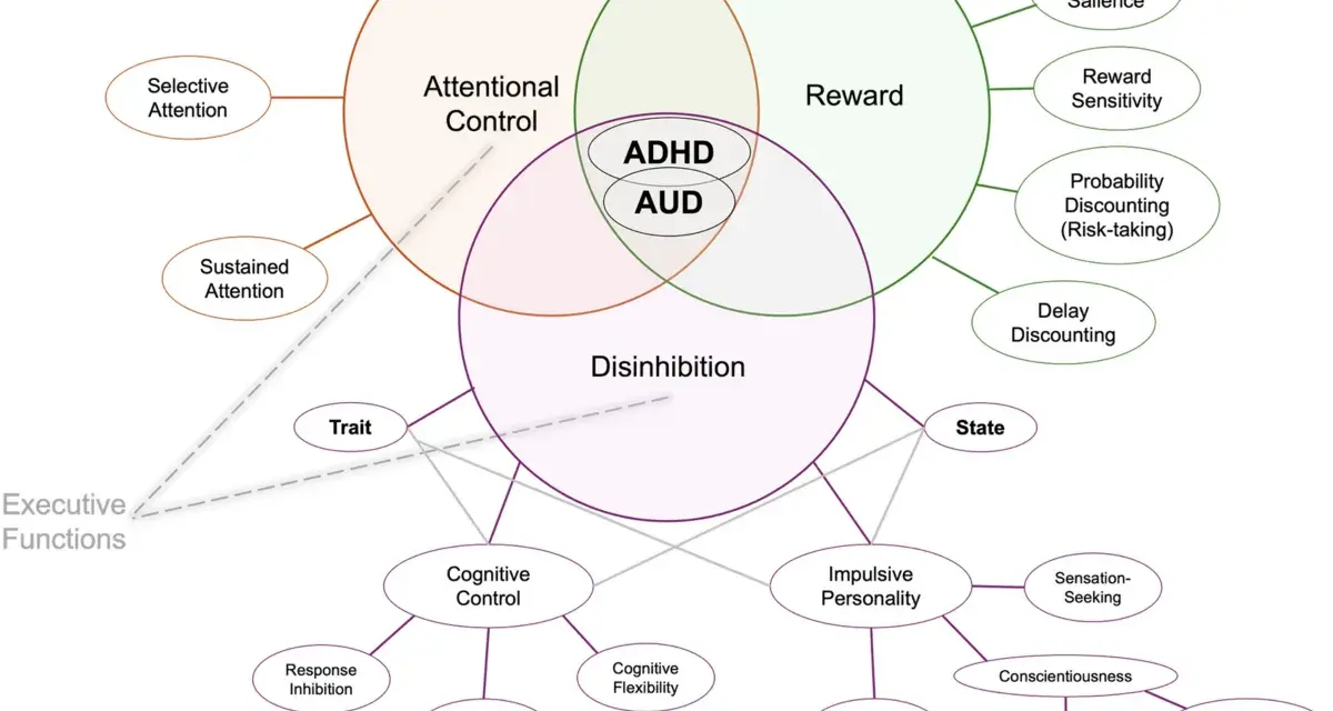 Wykres pokazuje związek między ADHD, alkoholem (AUD), kontrolą uwagi, nagrodą i zahamowaniem.