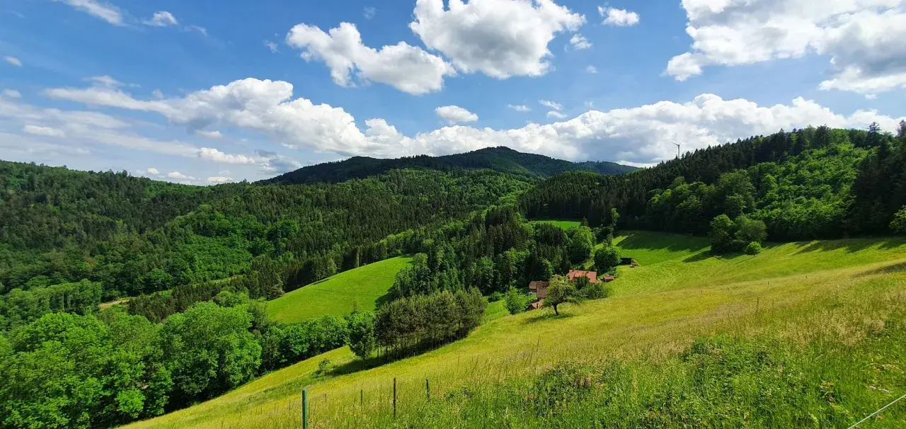 Grüne Hügel und Wälder am Hausacher Bergsteig unter blauem Himmel mit weißen Wolken. Ein Bauernhof mit roten Dächern liegt eingebettet in der Landschaft.