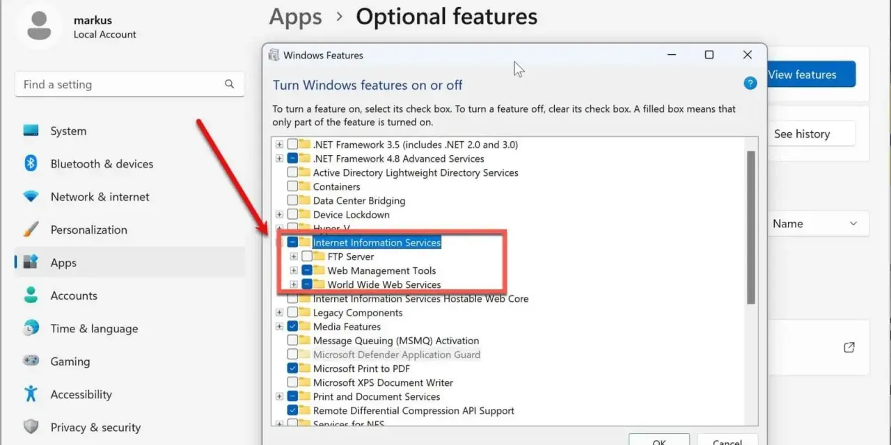 Windows-Einstellungen: "Internet Information Services" (IIS) wird als optionales Feature aktiviert, inklusive FTP und Web-Diensten.