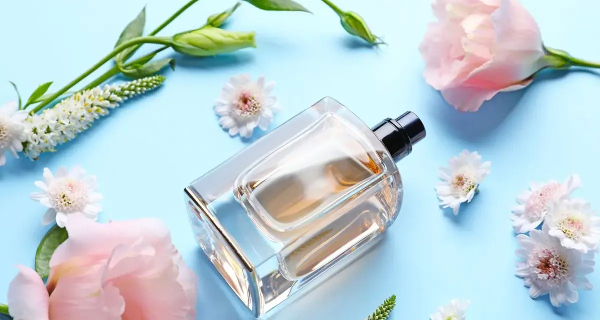 Gute und günstige Parfums: Top Empfehlungen für jeden Geldbeutel
