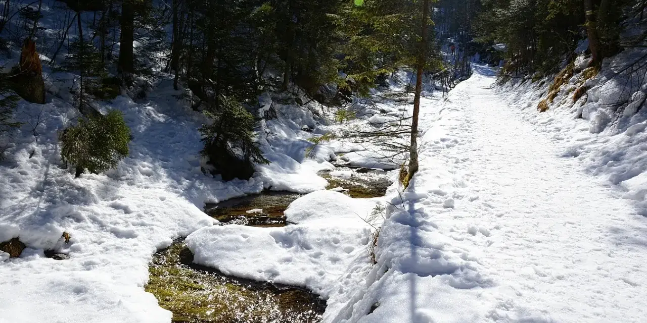 Śnieżna ścieżka wzdłuż strumienia w **dolinie białego** lasu. Słońce przebija się przez drzewa, tworząc refleksy na wodzie.