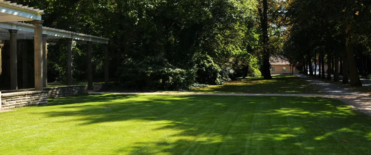 Ein sonniger Tag im Schlosspark Pankow. Ein gepflegter Rasen wird von Schatten durchbrochen, daneben ein Weg und eine Allee.